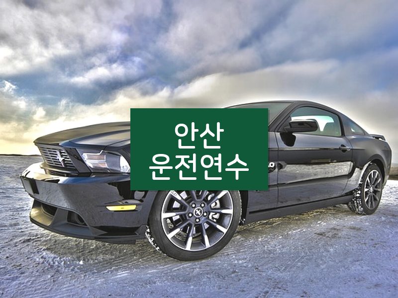 안산운전연수 후기