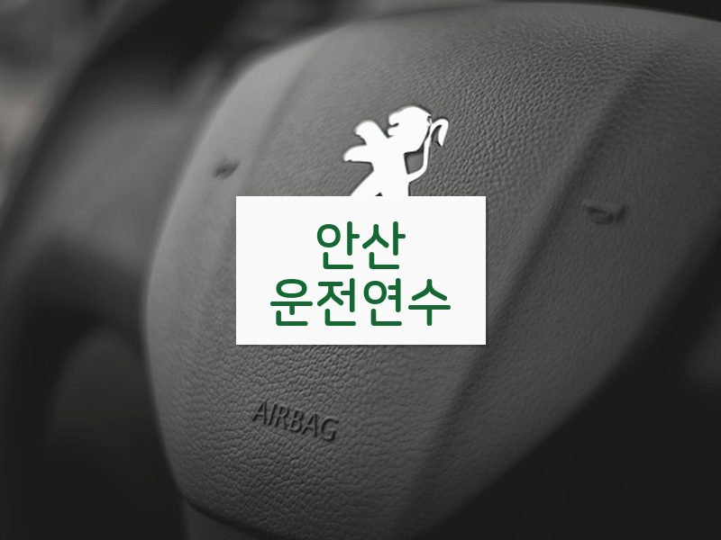 안산운전연수 후기