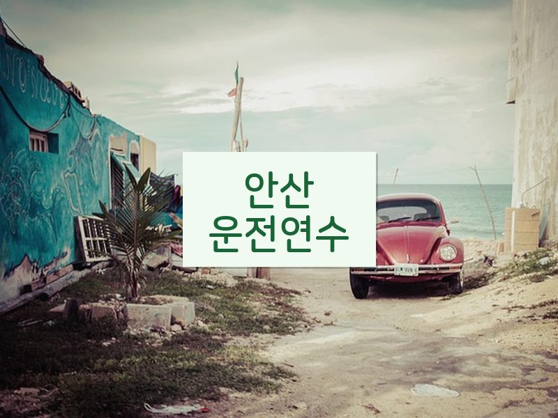 안산운전연수 후기