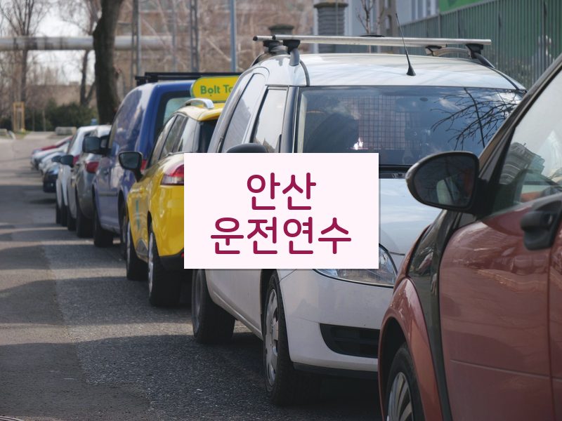 안산운전연수 후기