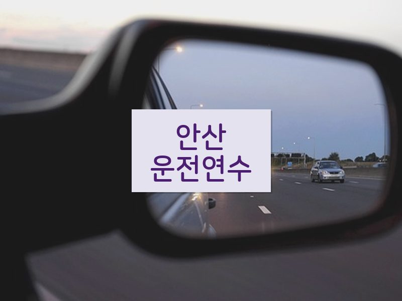 안산운전연수 후기