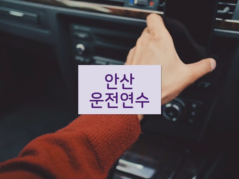 안산운전연수 후기