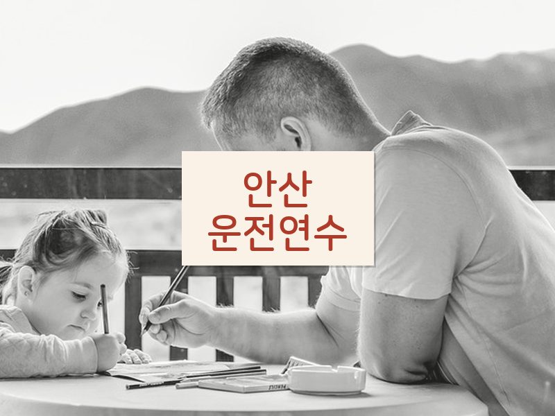 안산운전연수 후기