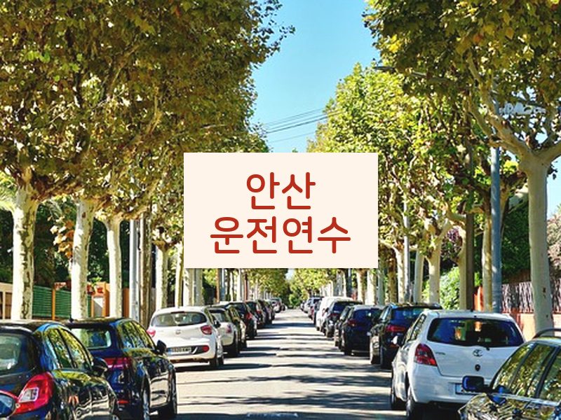 안산운전연수 후기
