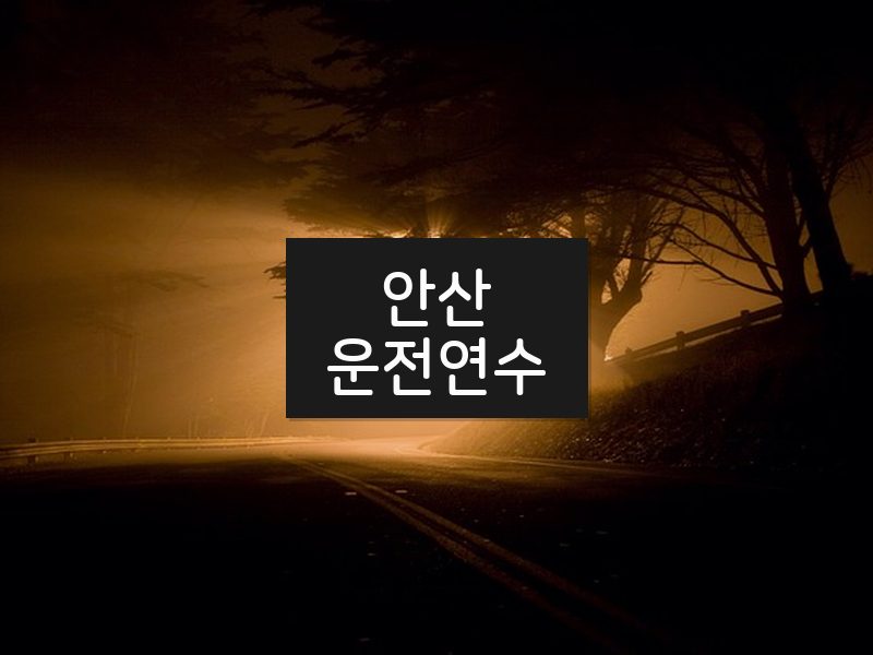 안산운전연수 후기