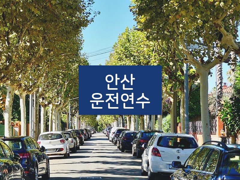 안산운전연수 후기