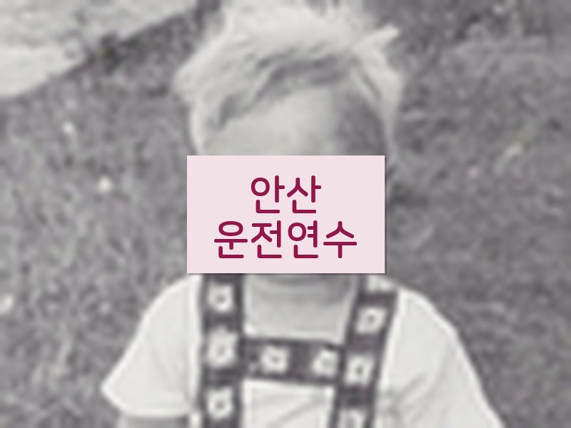 안산운전연수 후기