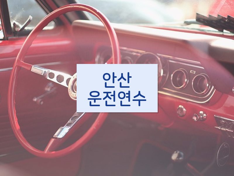 안산운전연수 후기