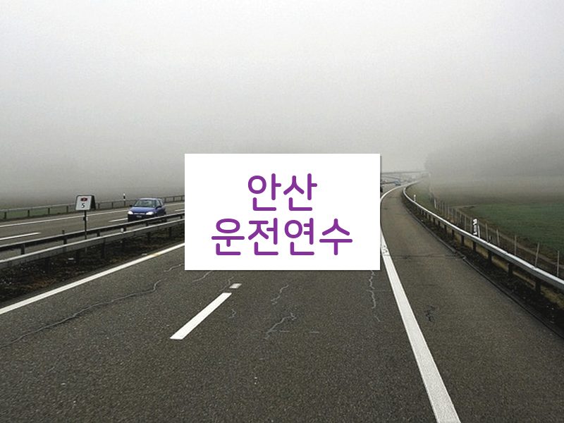 안산운전연수 후기