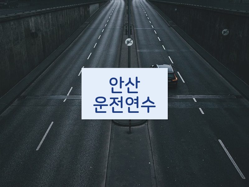 안산운전연수 후기