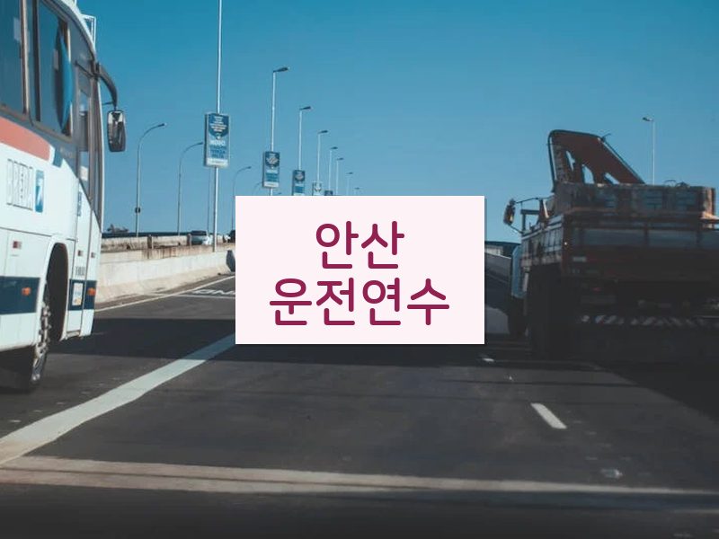 안산운전연수 후기