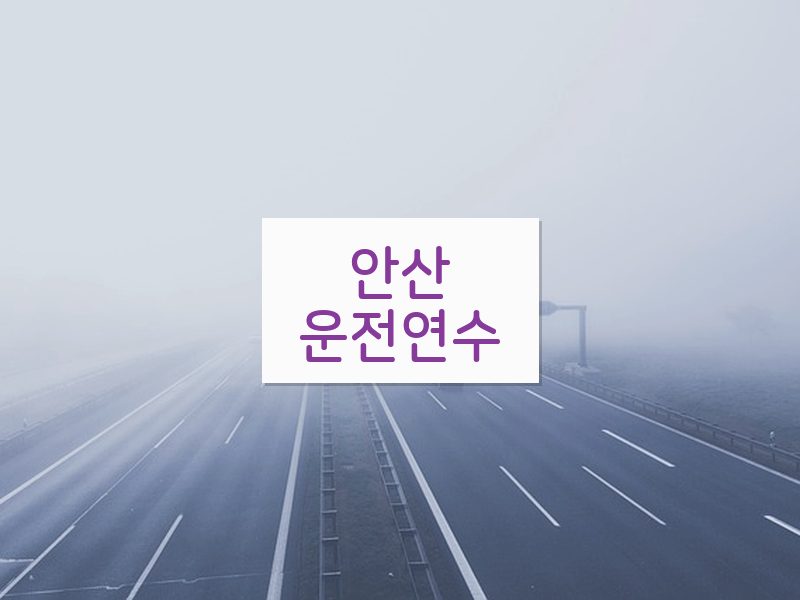 안산운전연수 후기