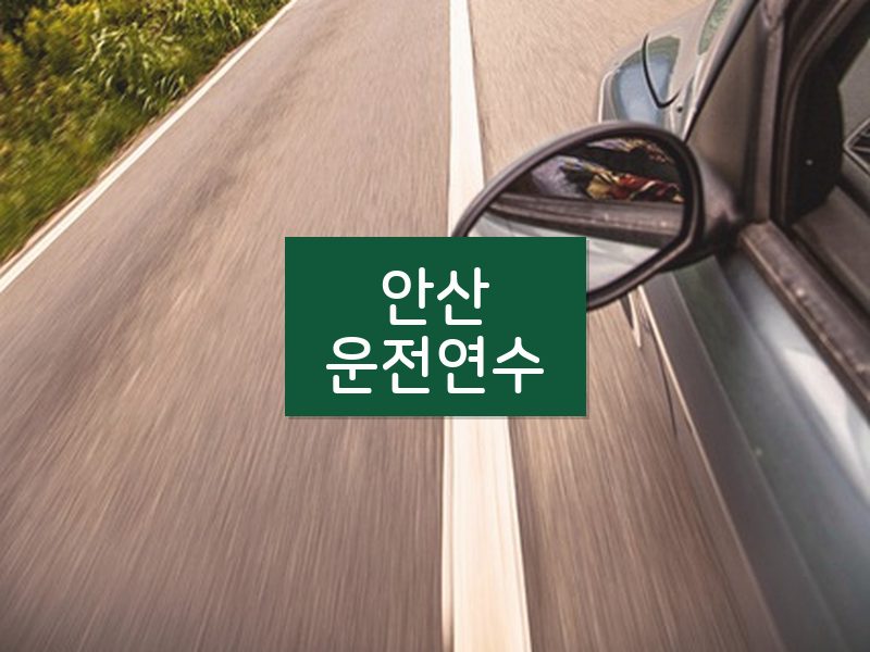 안산운전연수 후기