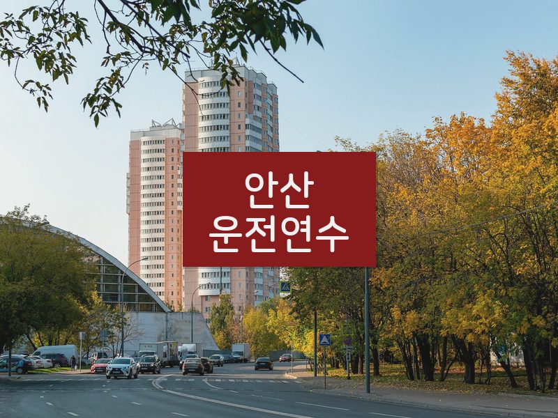 안산운전연수 후기