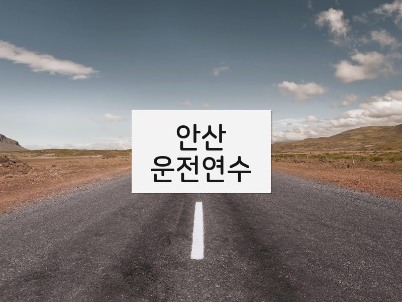 안산운전연수 후기