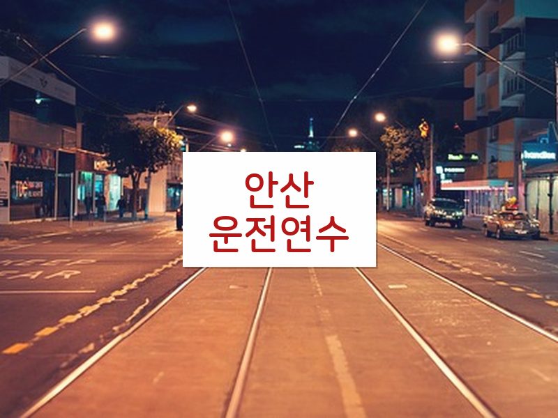 안산운전연수 후기