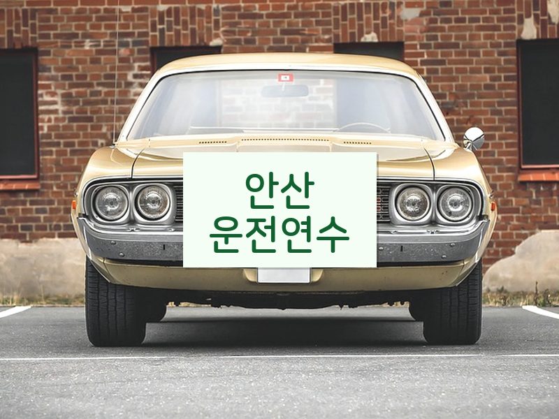 안산운전연수 후기