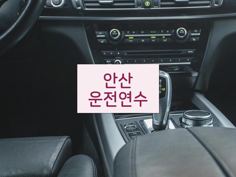 안산운전연수 후기