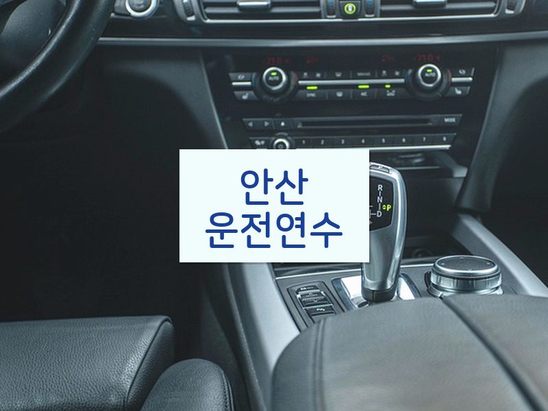안산운전연수 후기