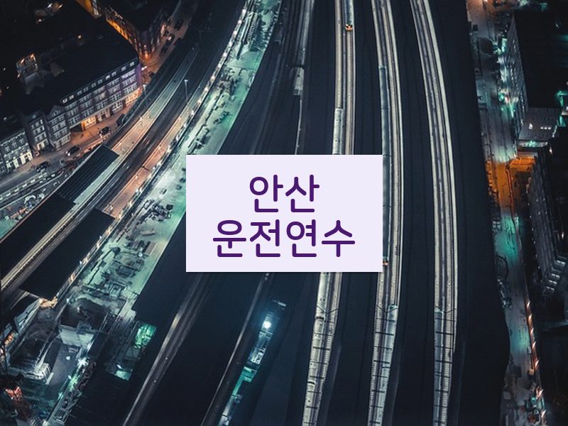 안산운전연수 후기