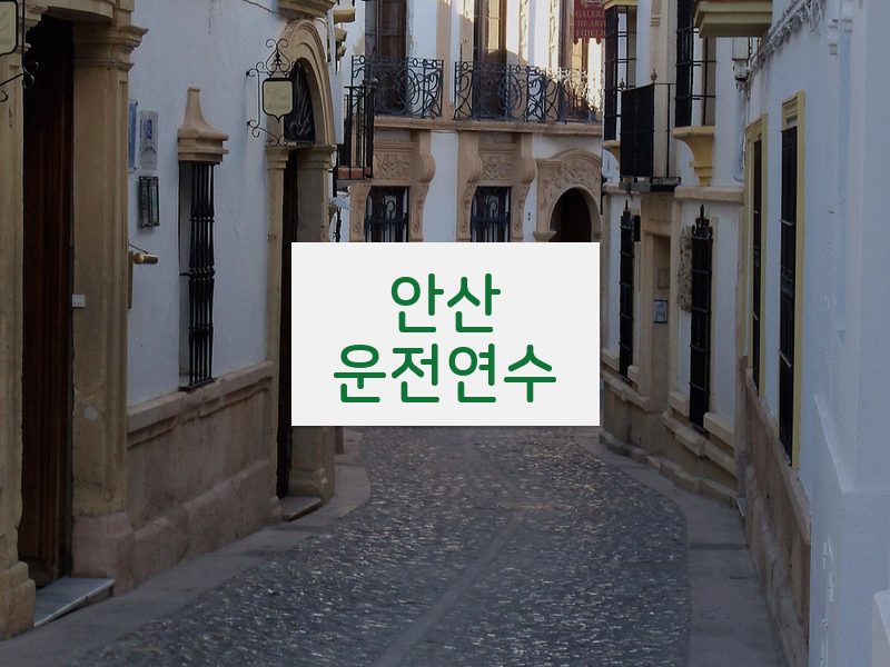 안산운전연수 후기