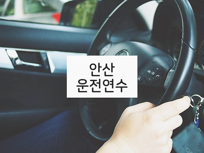 안산운전연수 후기