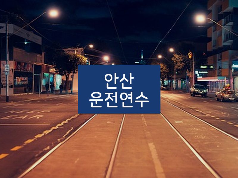 안산운전연수 후기