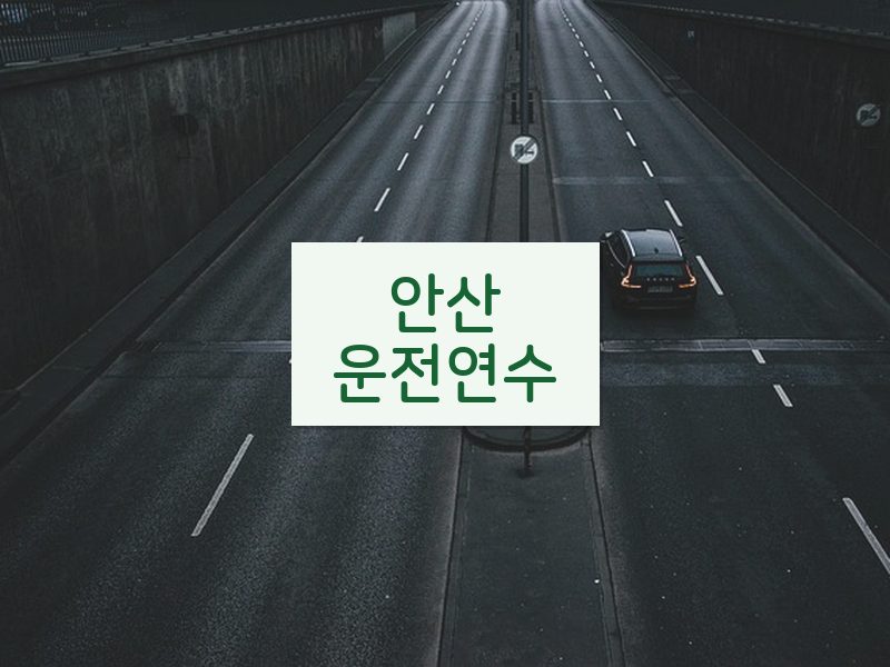 안산운전연수 후기