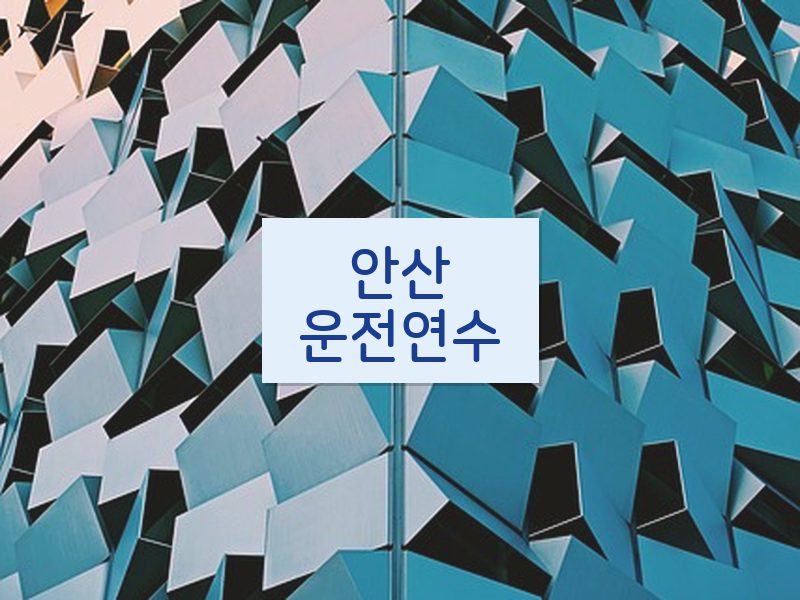 안산운전연수 후기