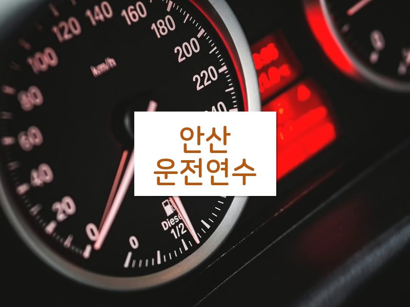 안산운전연수 후기