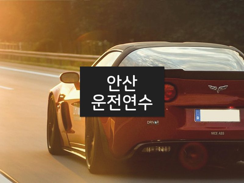 안산운전연수 후기