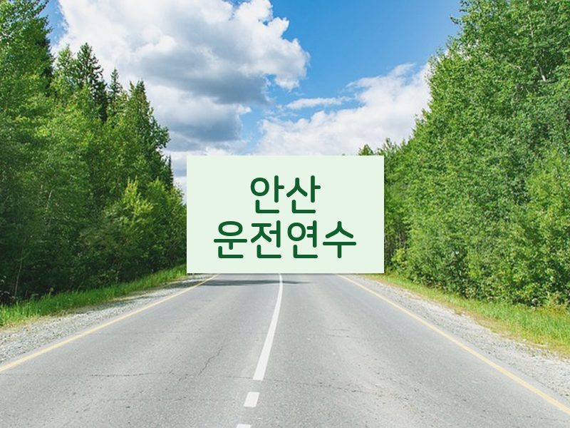 안산운전연수 후기