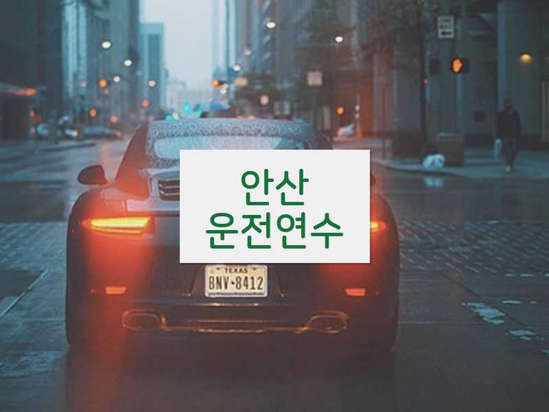 안산운전연수 후기