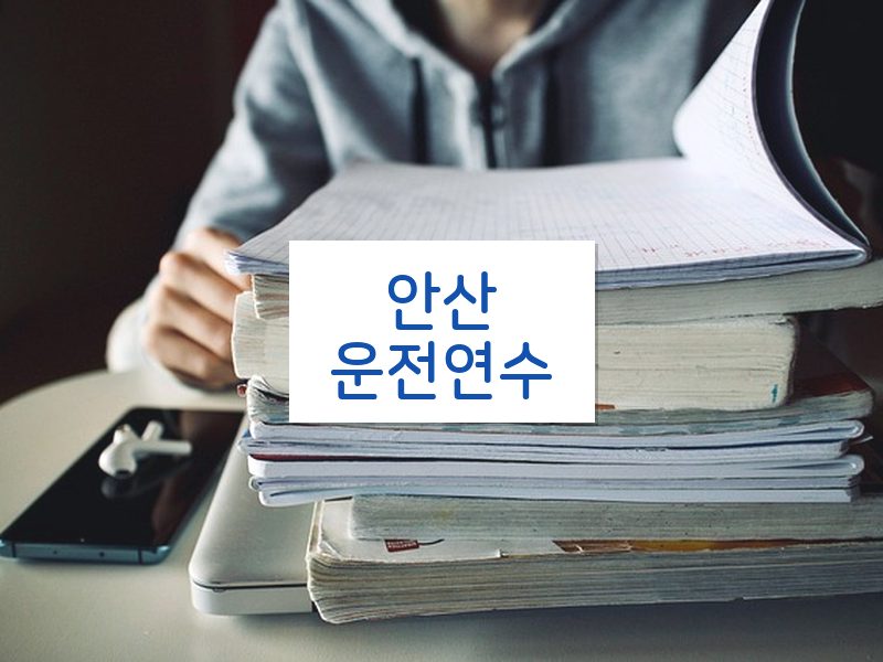 안산운전연수 후기