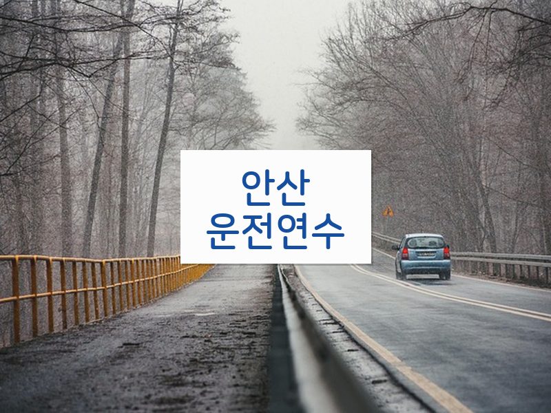 안산운전연수 후기