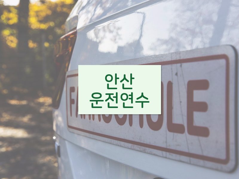 안산운전연수 후기
