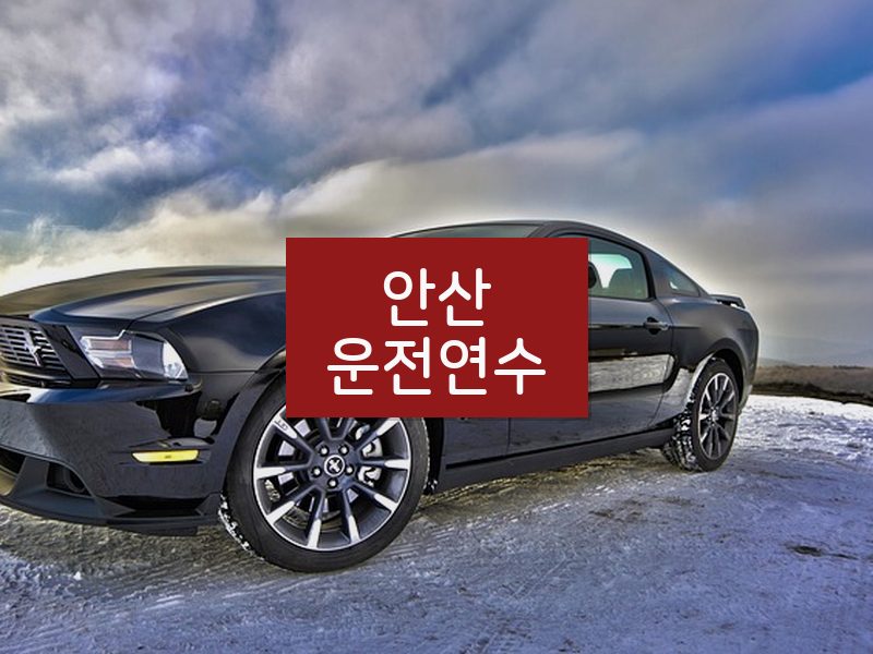 안산운전연수 후기
