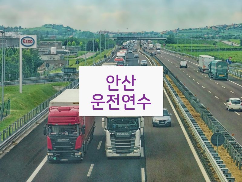안산운전연수 후기
