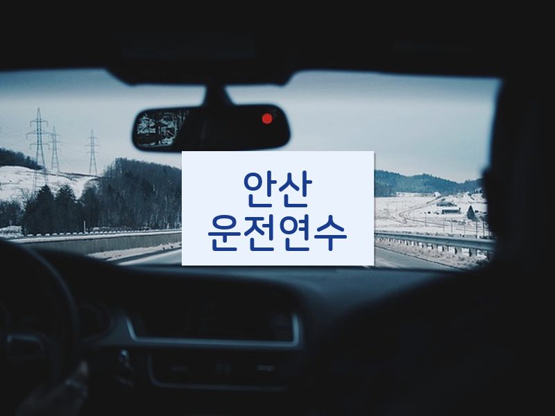 안산운전연수 후기