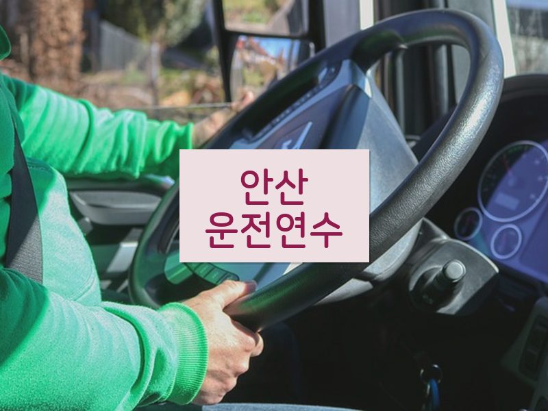 안산운전연수 후기