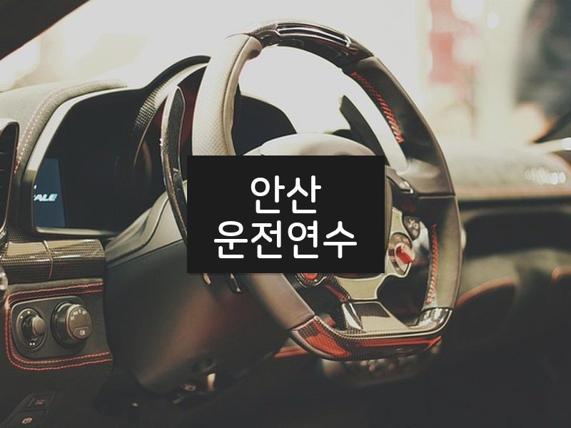 안산운전연수 후기