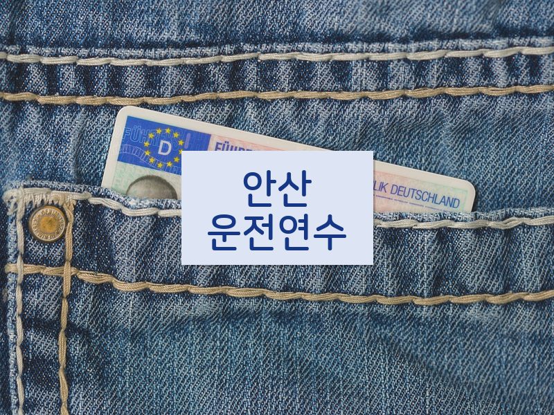 안산운전연수 후기