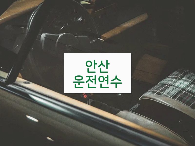 안산운전연수 후기