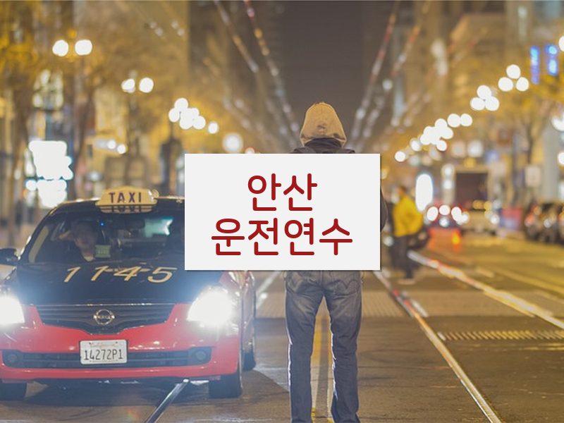 안산운전연수 후기