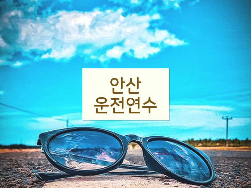 안산운전연수 후기