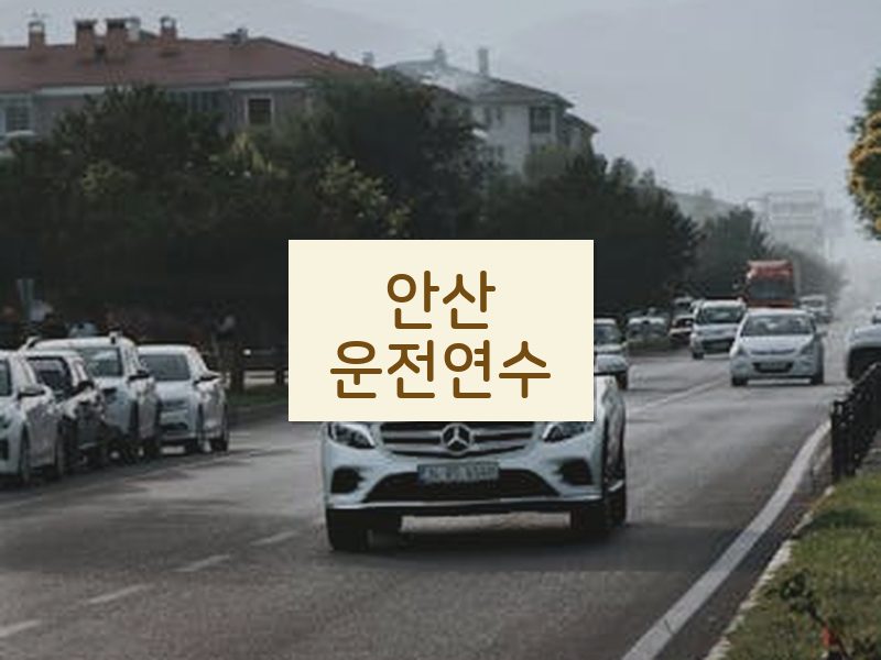 안산운전연수 후기