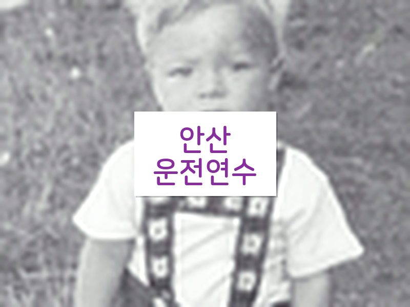 안산운전연수 후기