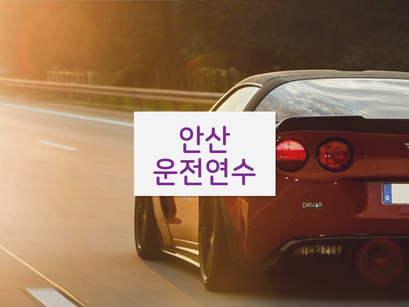 안산운전연수 후기