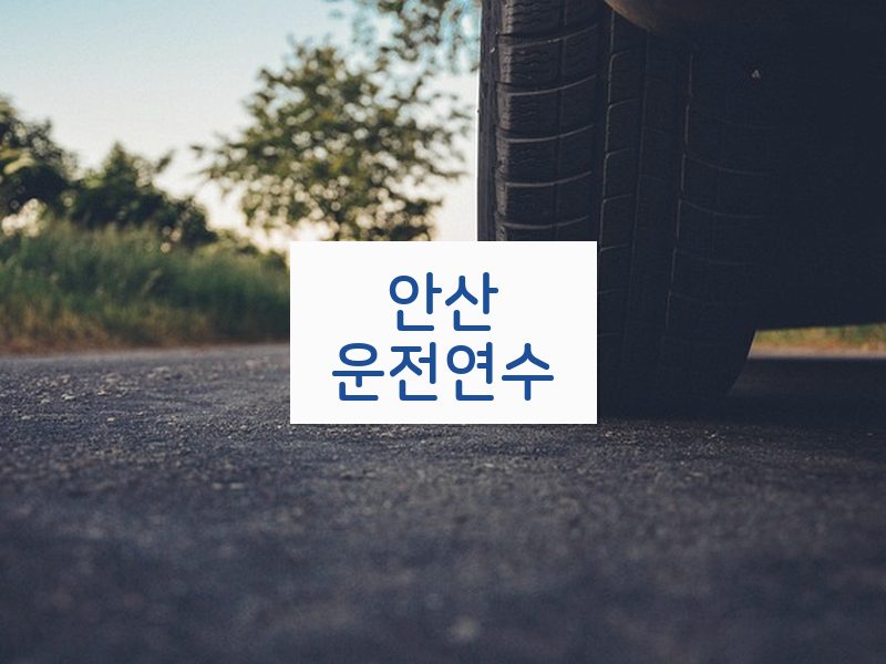 안산운전연수 후기