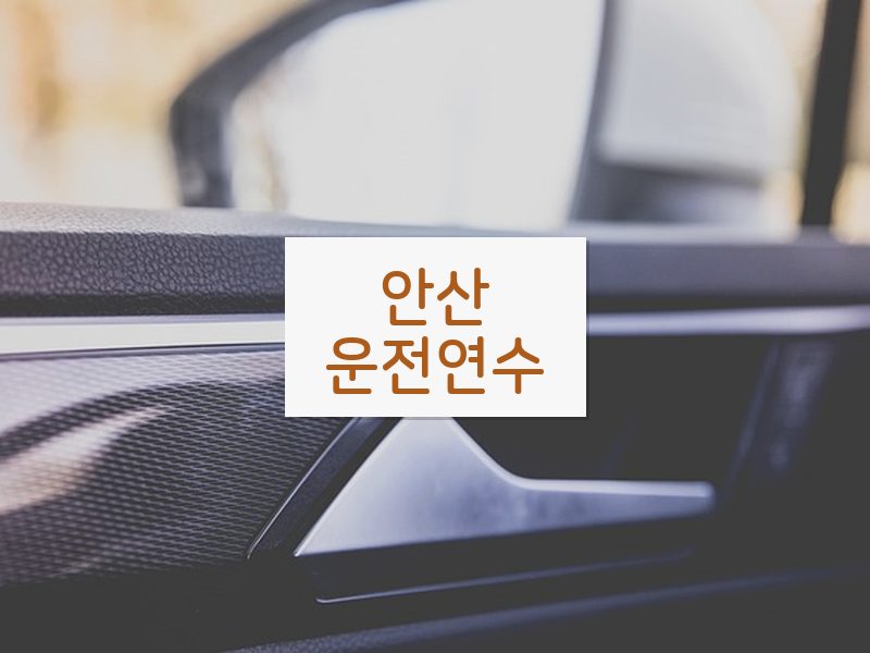 안산운전연수 후기
